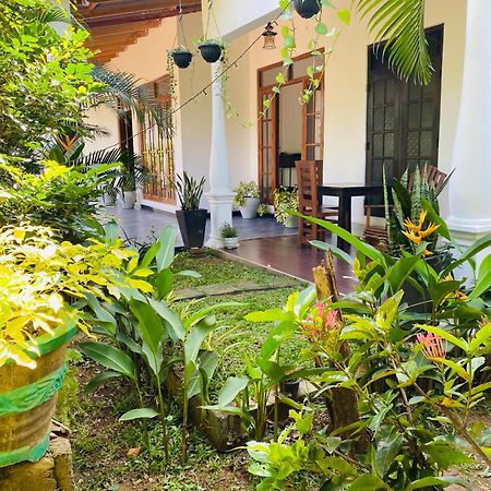 Fairview Dill Homestay Sigiriya Luaran gambar