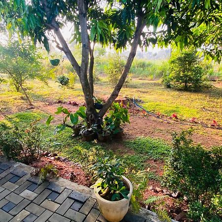Fairview Dill Homestay Sigiriya Luaran gambar