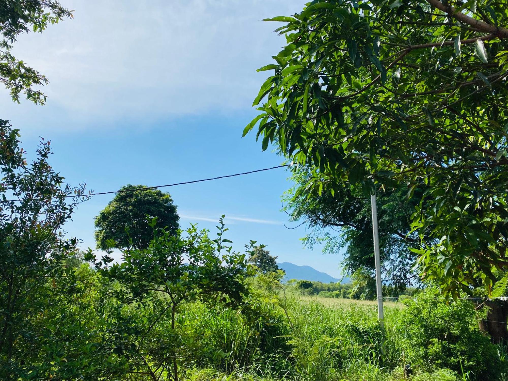 Fairview Dill Homestay Sigiriya Luaran gambar