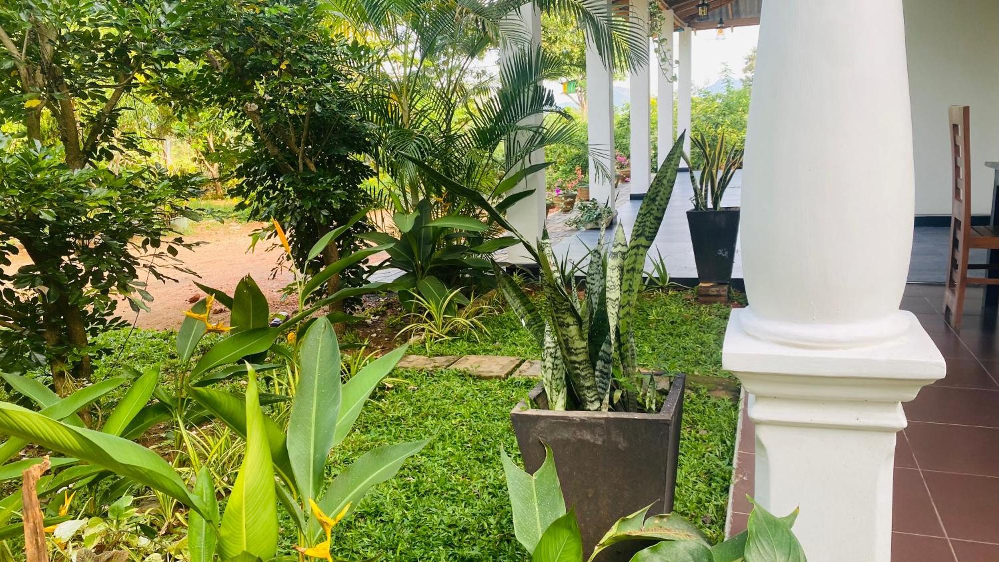 Fairview Dill Homestay Sigiriya Luaran gambar