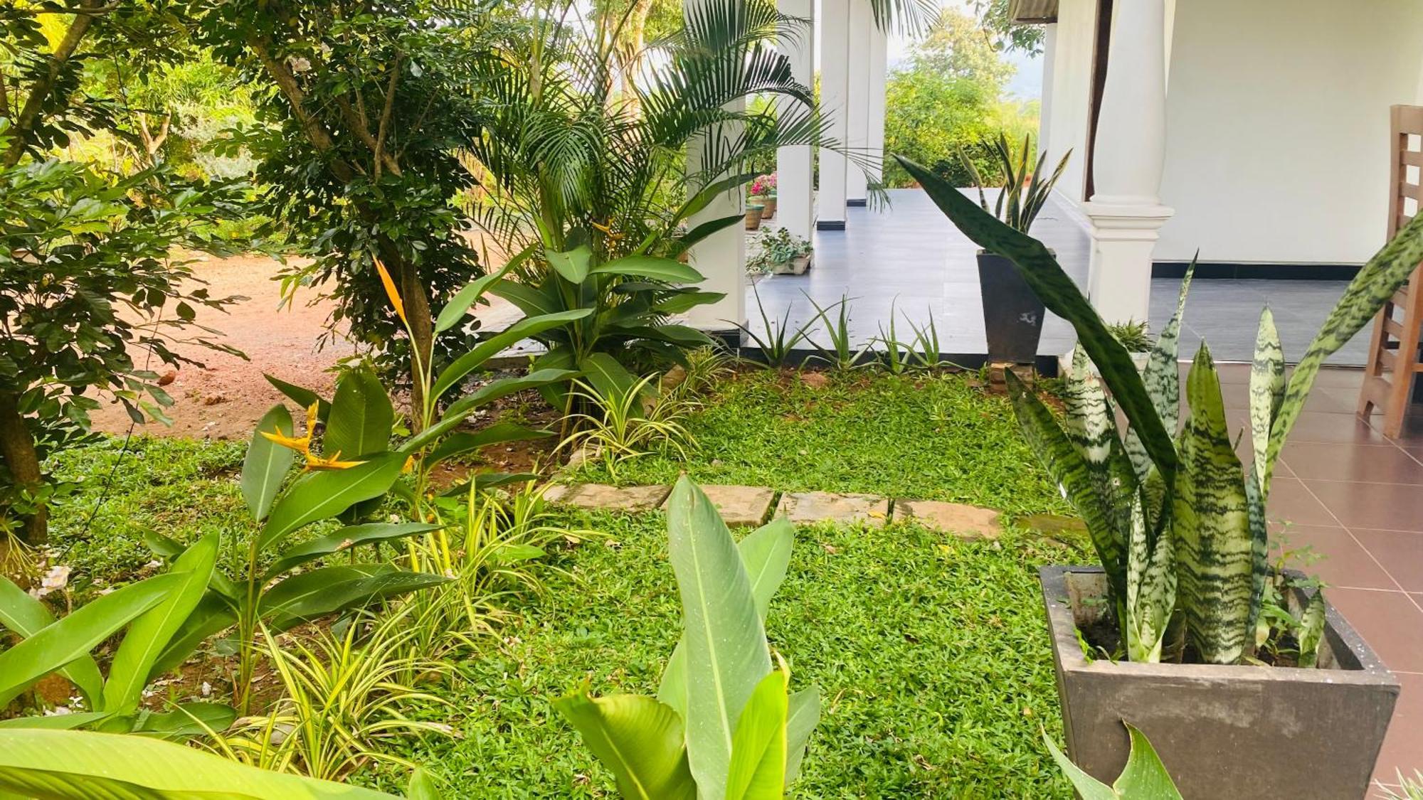 Fairview Dill Homestay Sigiriya Luaran gambar