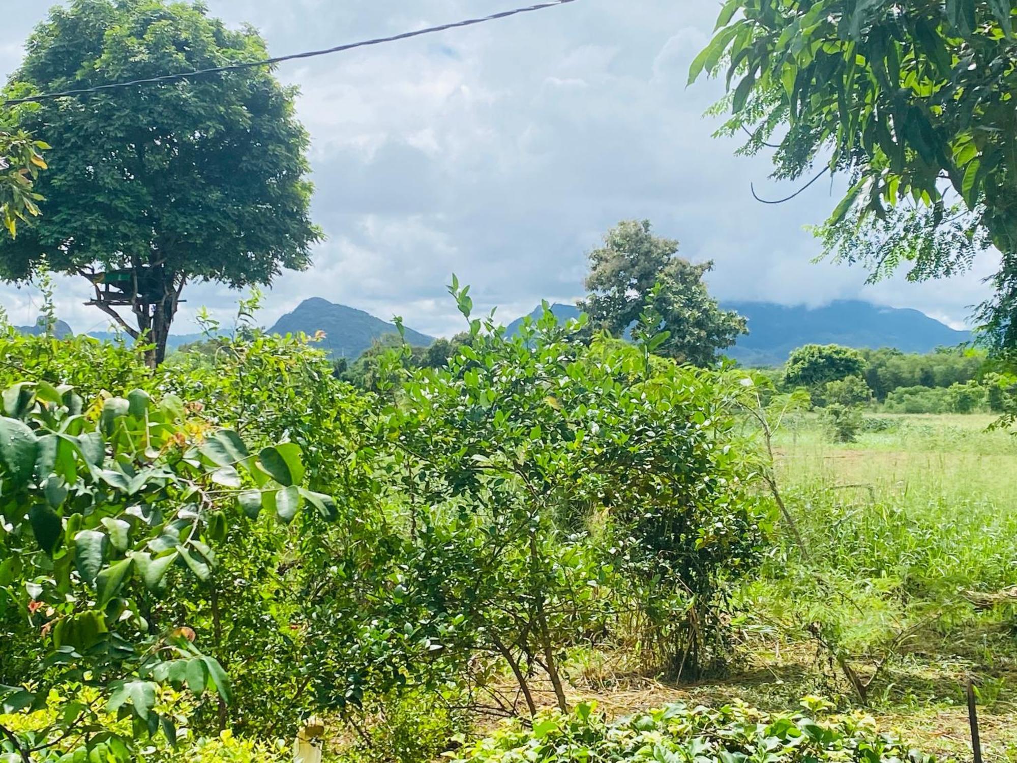 Fairview Dill Homestay Sigiriya Luaran gambar