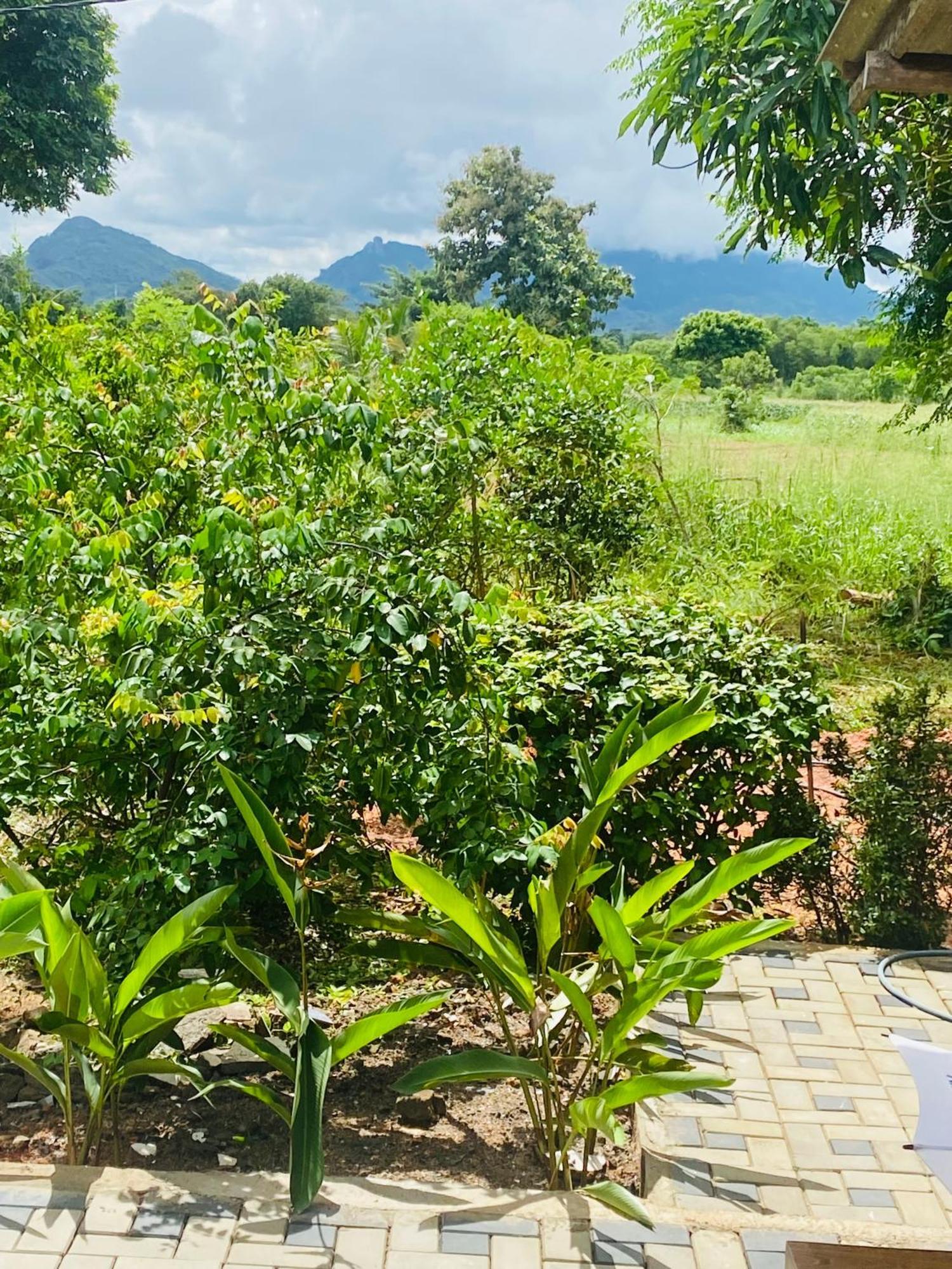 Fairview Dill Homestay Sigiriya Luaran gambar