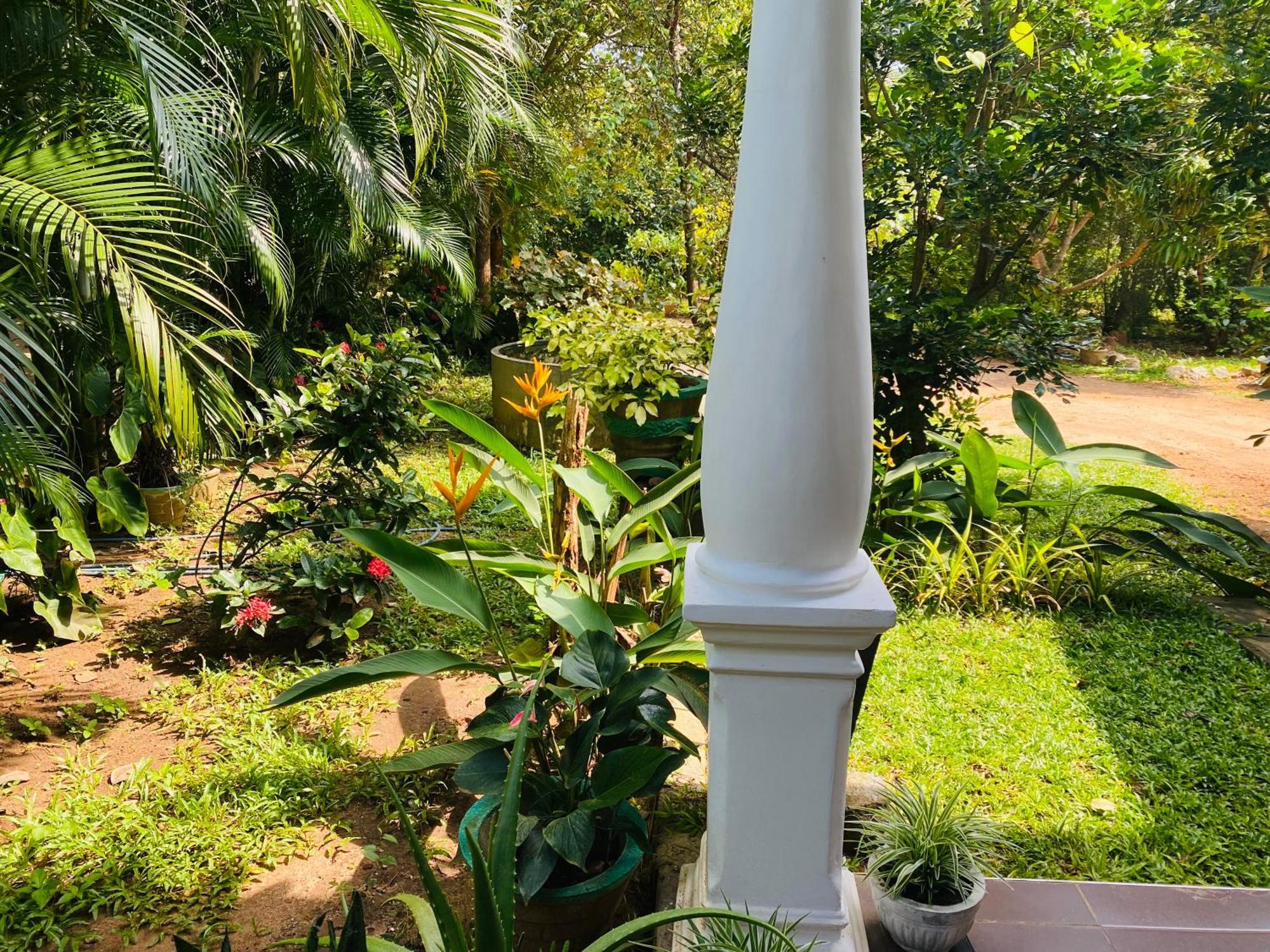 Fairview Dill Homestay Sigiriya Luaran gambar