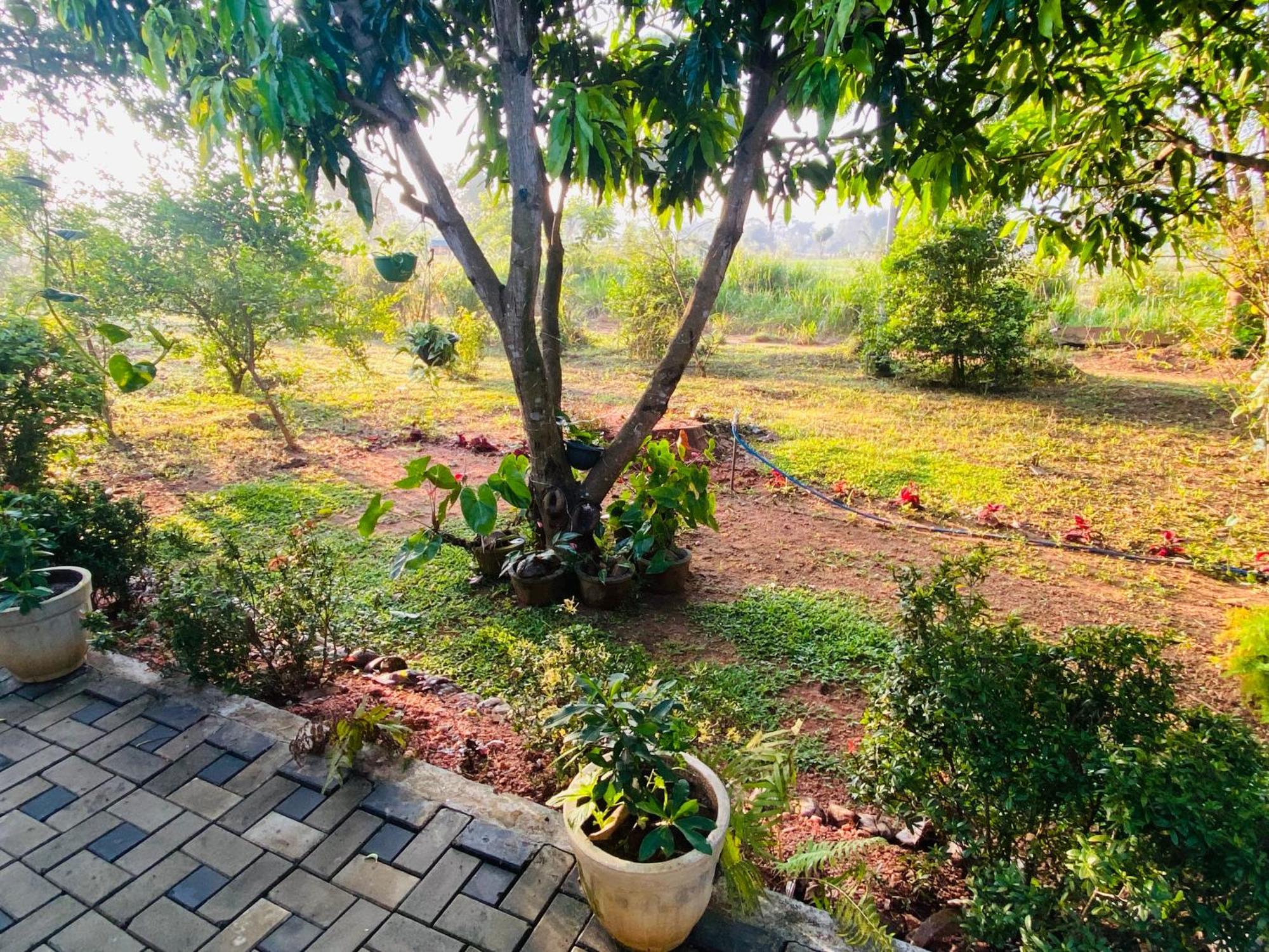 Fairview Dill Homestay Sigiriya Luaran gambar